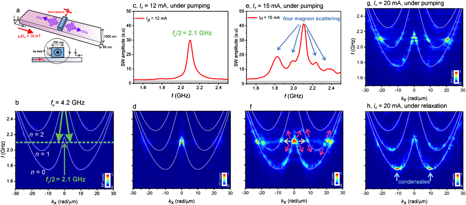 Bose–Einstein condensation of nonequilibrium magnons in confined ...