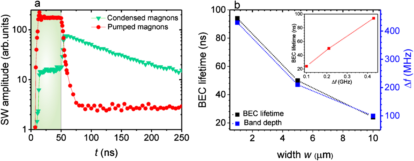 Bose–Einstein condensation of nonequilibrium magnons in confined ...