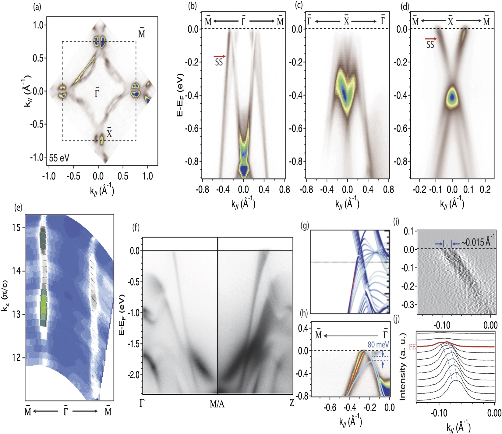 Dirac nodal line and Rashba spin-split surface states in nonsymmorphic ...