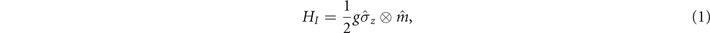 Equation (1)