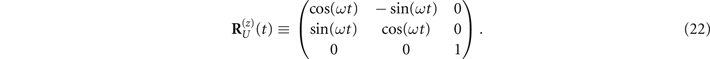 Equation (22)