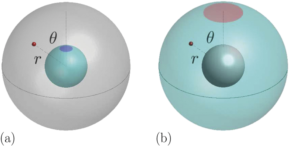 Distribution of first-reaction times with target regions on boundaries ...