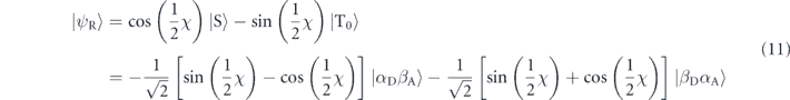 Equation (11)