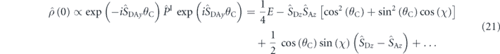 Equation (21)