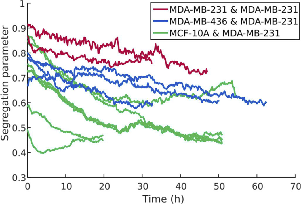 Anomalous cell sorting behavior in mixed monolayers discloses hidden ...