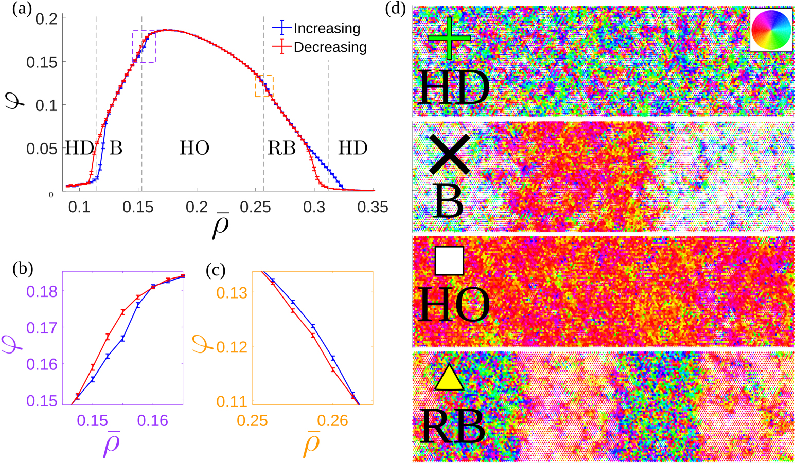 Uncovering novel phase transitions in dense dry polar active fluids ...