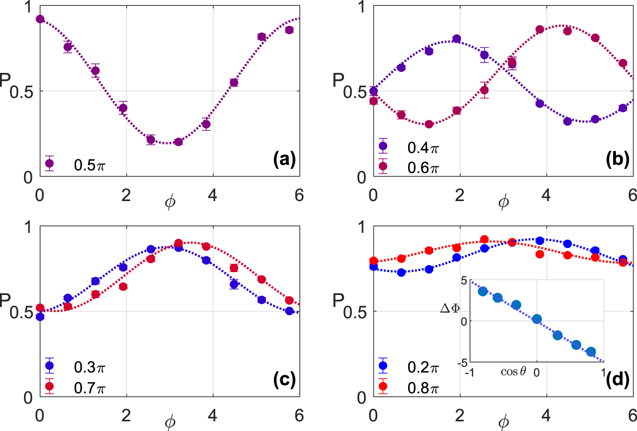 Observation of nonlinear spin dynamics and squeezing in a BEC using ...