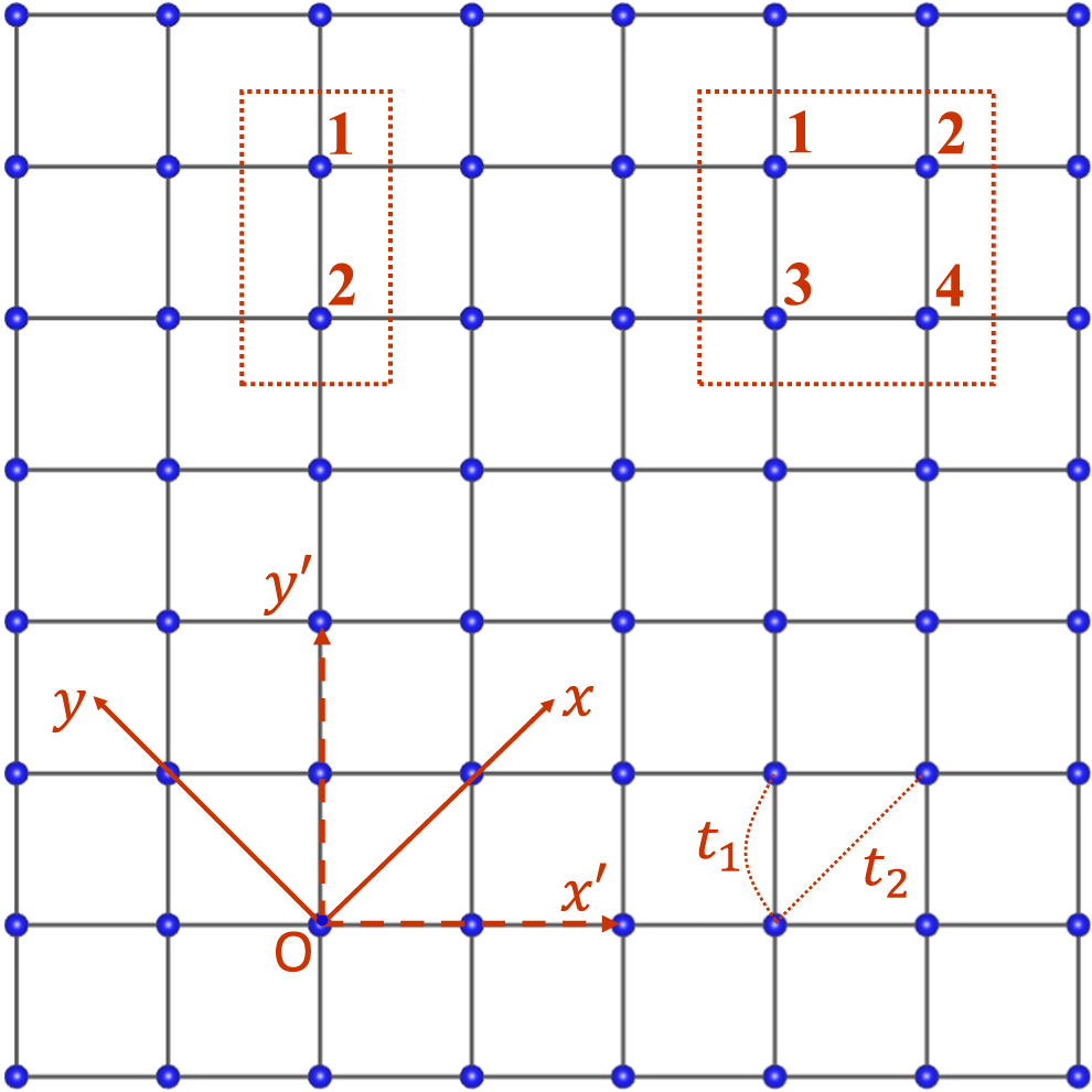 Uncovering double-stripe and plaquette antiferromagnetic