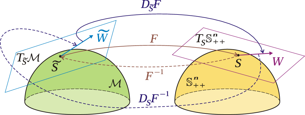 Riemannian geometry and automatic differentiation for optimization ...