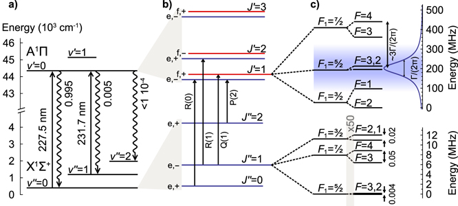 Figure 2. Refer to the following caption and surrounding text.