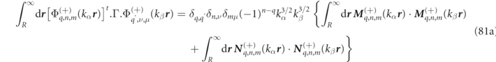 Equation (81a)