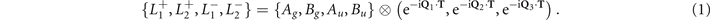 Equation (1)
