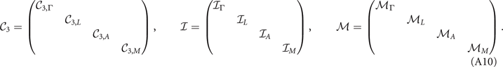 Equation (A10)