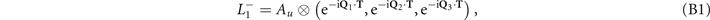 Equation (B1)