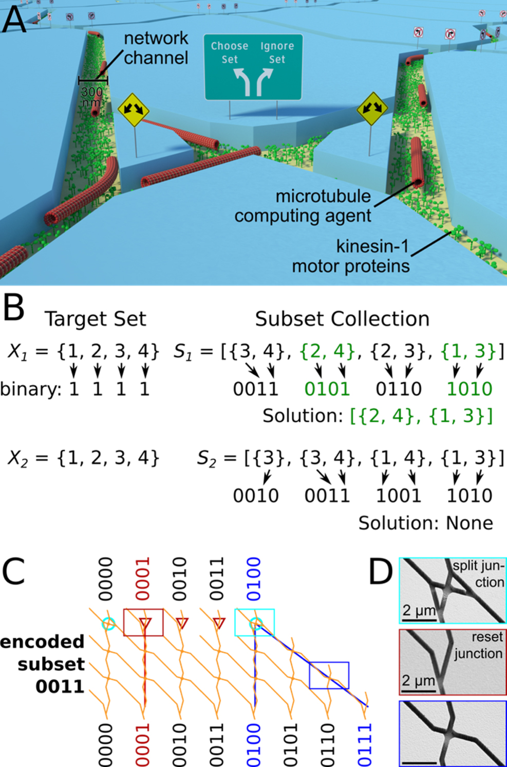 Design of network-based biocomputation circuits for the exact cover ...