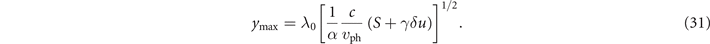 Equation (31)