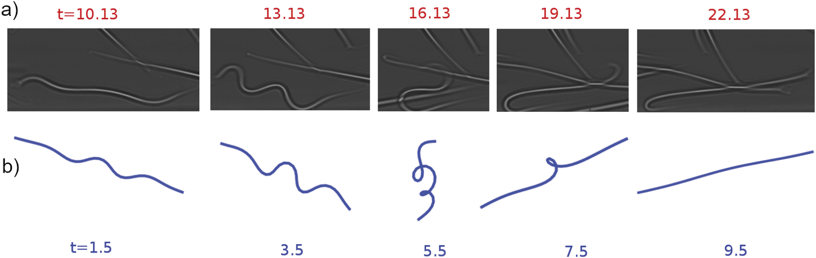 Buckling of elastic fibers in a shear flow - IOPscience