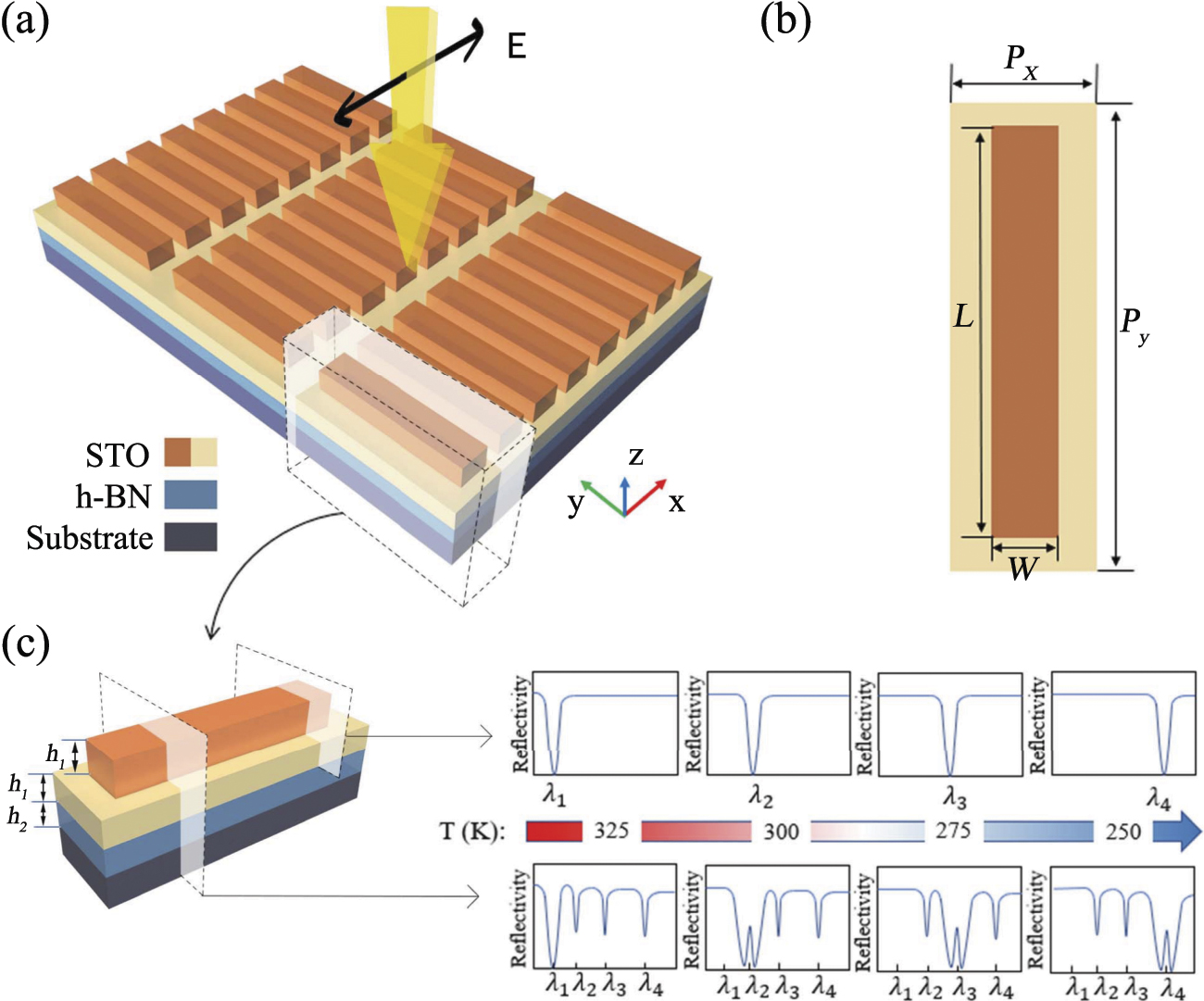 Switchable strong coupling between dual hyperbolic phonon polaritons ...
