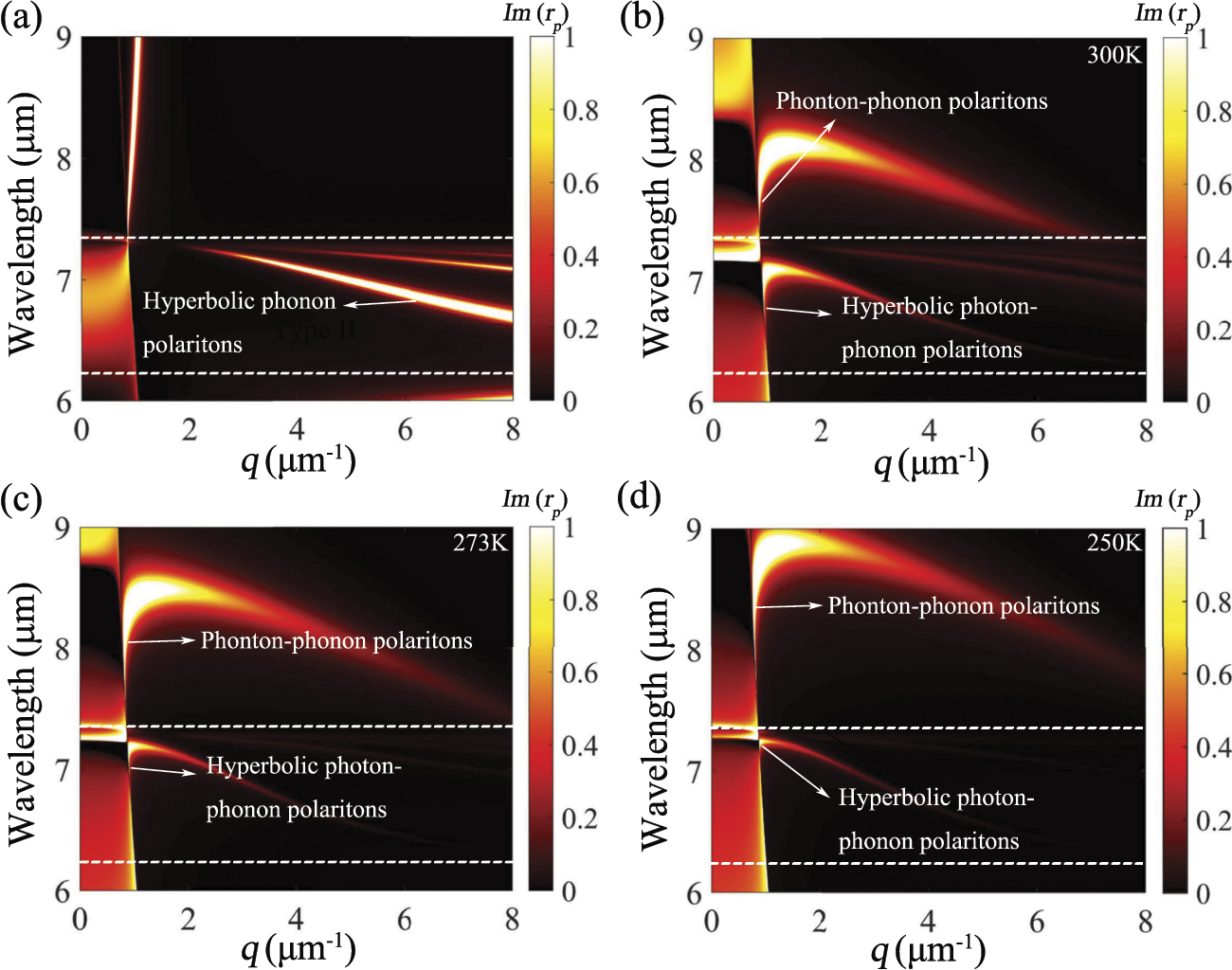 Switchable strong coupling between dual hyperbolic phonon polaritons ...
