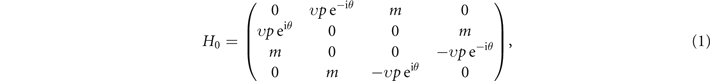 Equation (1)