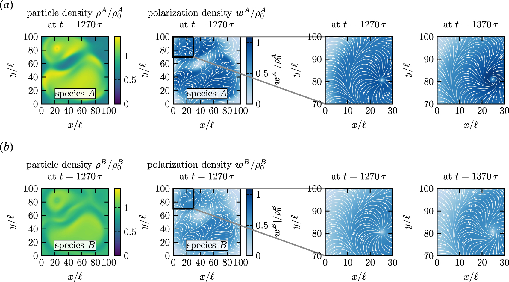 Clustering and flocking of repulsive chiral active particles with non ...