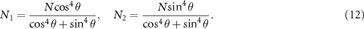 Equation (12)