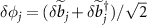 $\delta{\phi_j} = (\delta{\widetilde{b}_j}+\delta{\widetilde{b}_{j}^{\dagger}})/\sqrt{2}$
