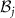 $\mathcal{B}_{j}$