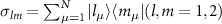 $\sigma_{lm} = \sum_{\mu = 1}^{N}|l_{\mu}\rangle\langle m_{\mu}|(l,m = 1,2)$