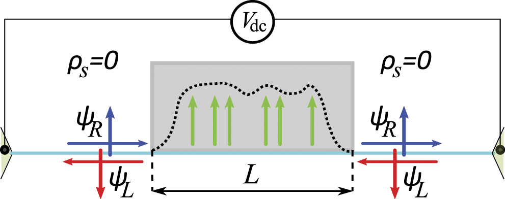 Protection of edge transport in quantum spin Hall samples: spin ...