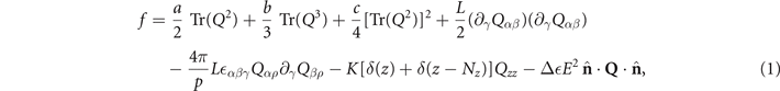 Equation (1)