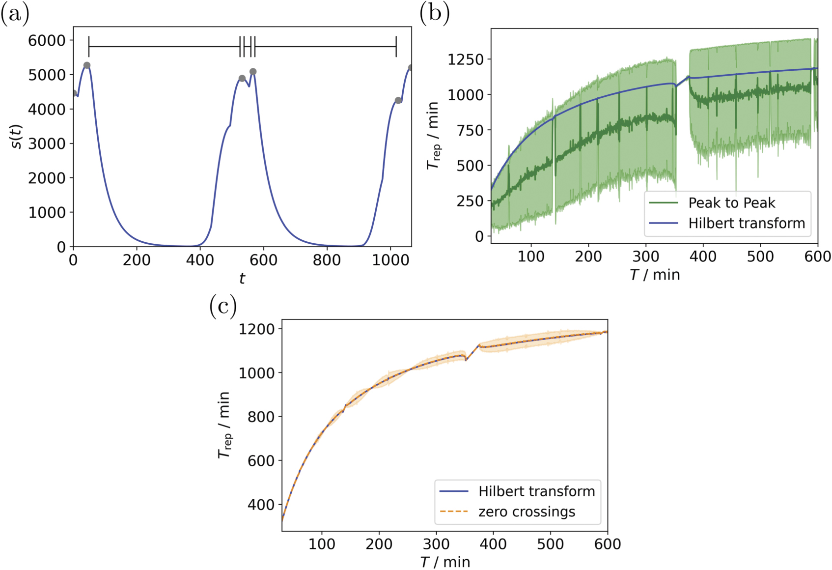 Synchronization of a genetic oscillator with the cell division cycle ...
