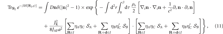 Equation (11)