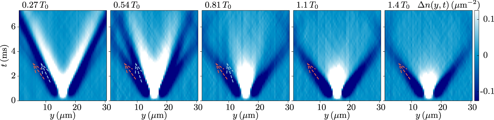First and second sound in a dilute Bose gas across the BKT transition ...