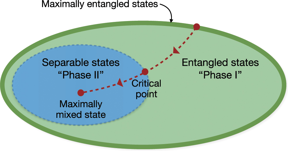 Learning entanglement breakdown as a phase transition by confusion ...