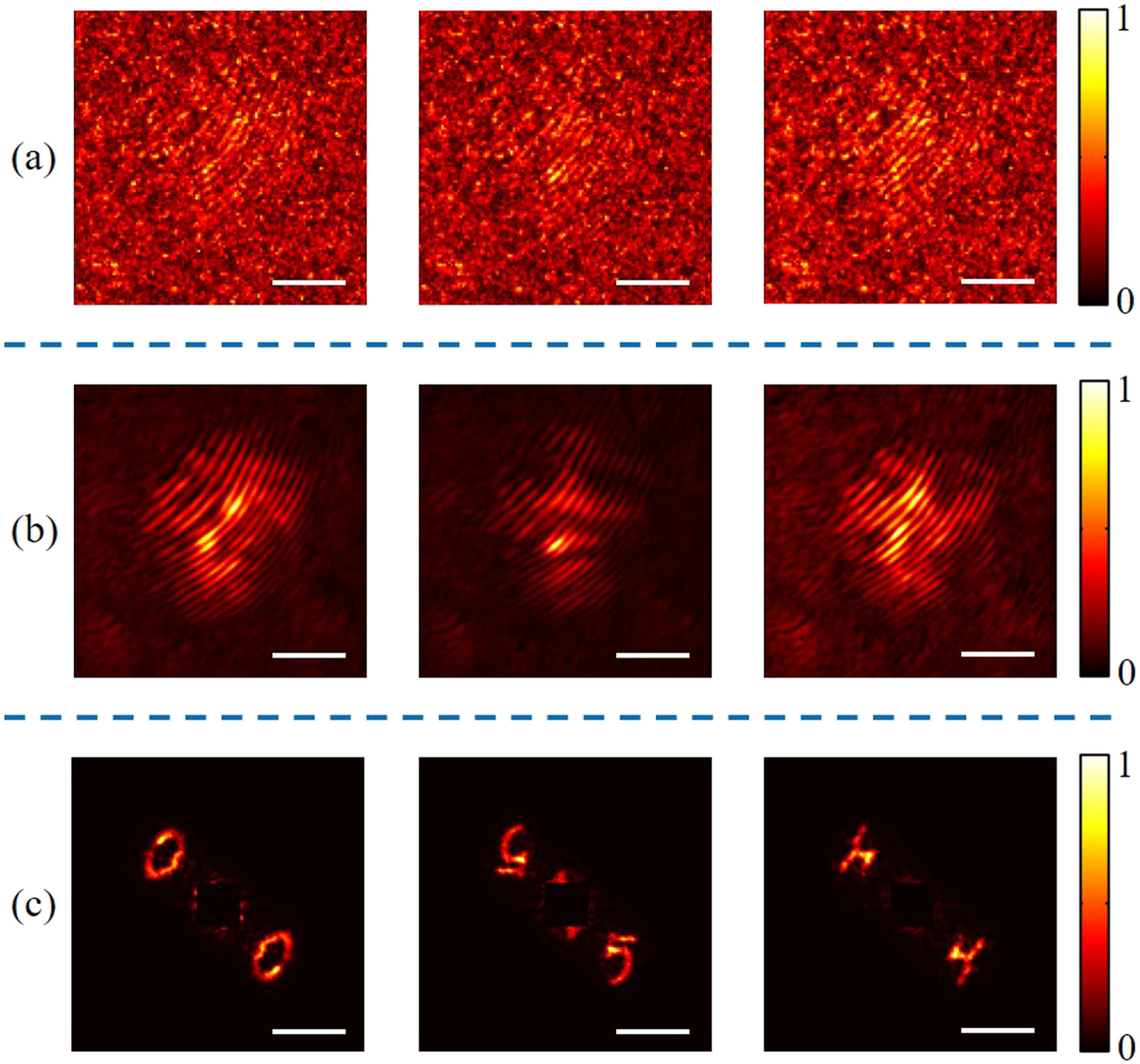 Scattering imaging as a noise removal in digital holography by using ...