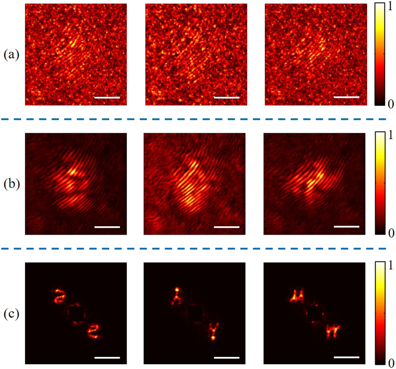 Scattering imaging as a noise removal in digital holography by using ...