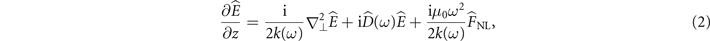 Equation (2)