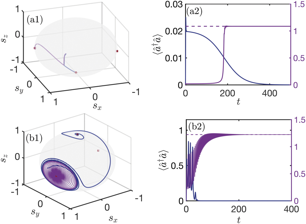 Nonlinear dynamics of the dissipative anisotropic two-photon Dicke ...