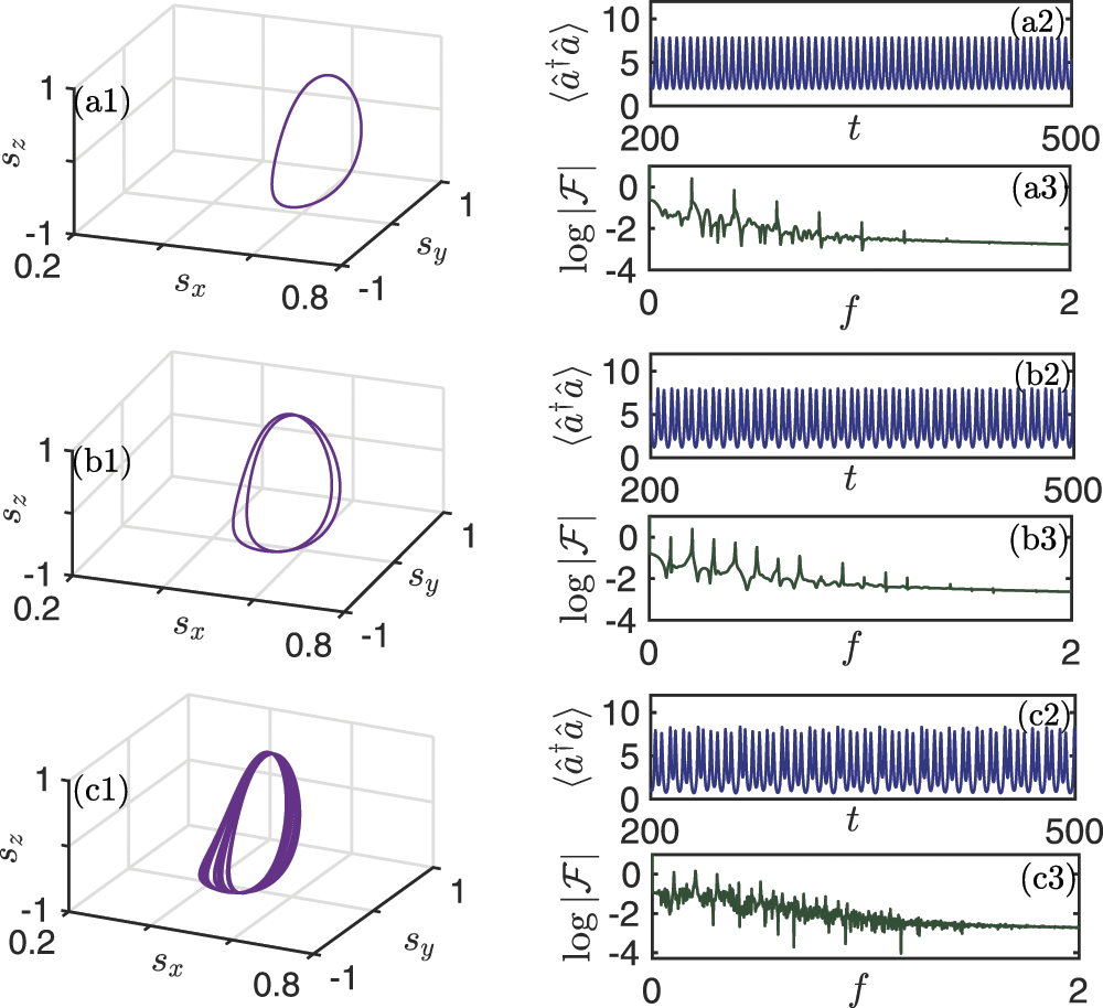 Nonlinear dynamics of the dissipative anisotropic two-photon Dicke ...