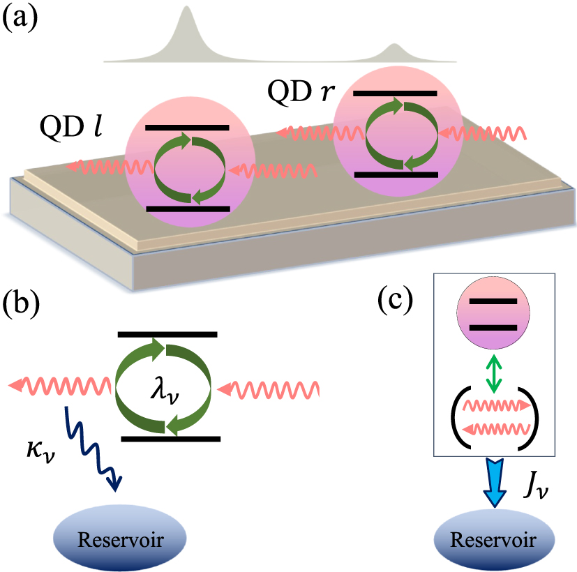 Emergent quantum probability from full quantum dynamics and the role of ...