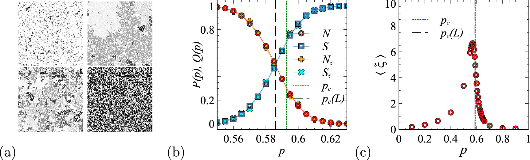 The percolating cluster is invisible to image recognition with deep ...