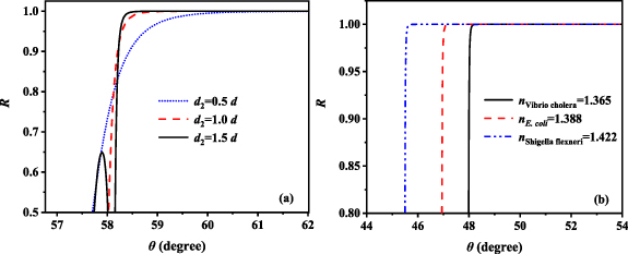 A variable refractive index sensor based on epsilon-near-zero spatial ...