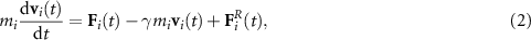 Equation (2)