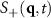 $S_+(\mathbf{q},t)$