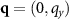 $\mathbf{q} = (0,q_y)$