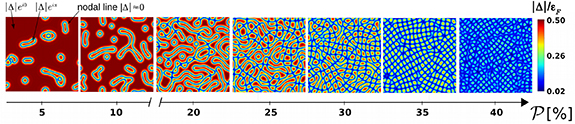 Figure 1. Refer to the following caption and surrounding text.