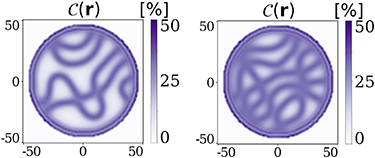 Figure 5. Refer to the following caption and surrounding text.