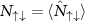 $N_{\uparrow\downarrow} = \langle \hat{N}_{\uparrow\downarrow} \rangle $