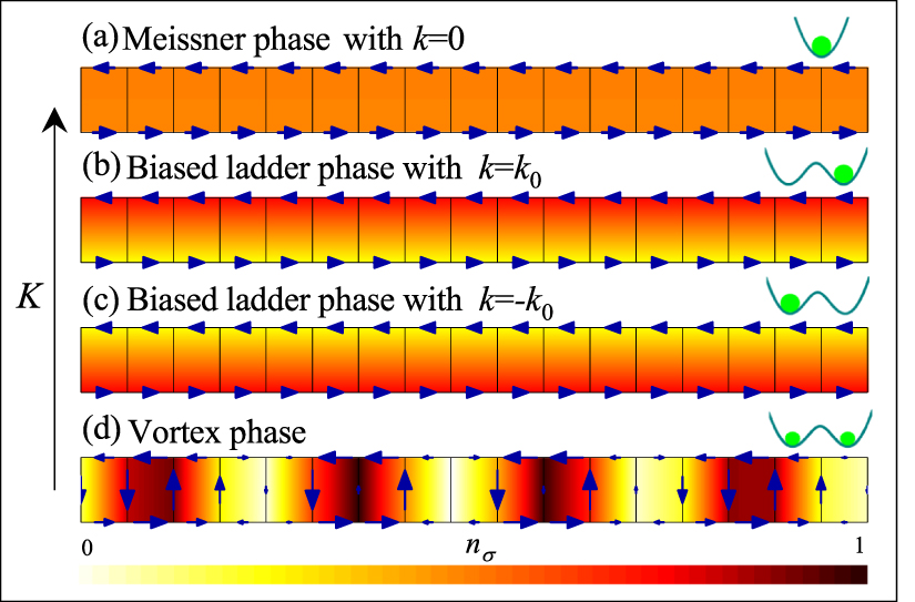 Defect induced nonequilibrium quantum dynamics in an interacting Bose ...